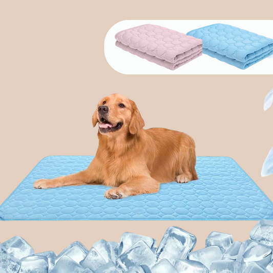 HundePlaces - SommerPlätzchen